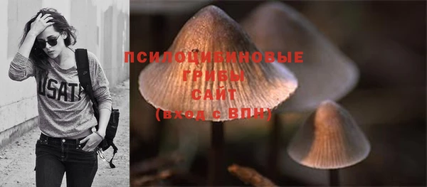 дурь Липки