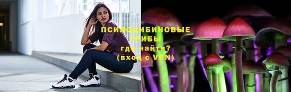 сатива Балахна