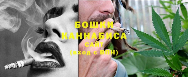 сатива Балахна