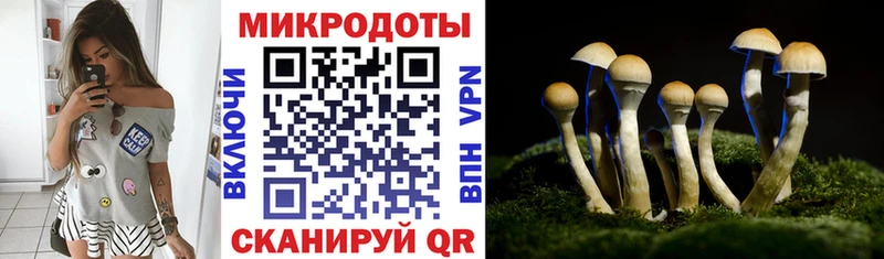 купить  сайты  Рыбинск  KRAKEN зеркало  Псилоцибиновые грибы прущие грибы 